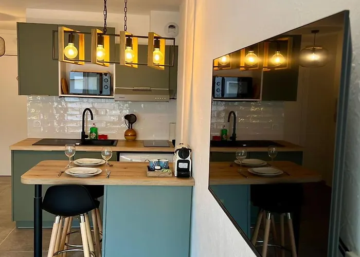 Climatise, Cosy Et Calme Au Centre Апартаменты Антиб