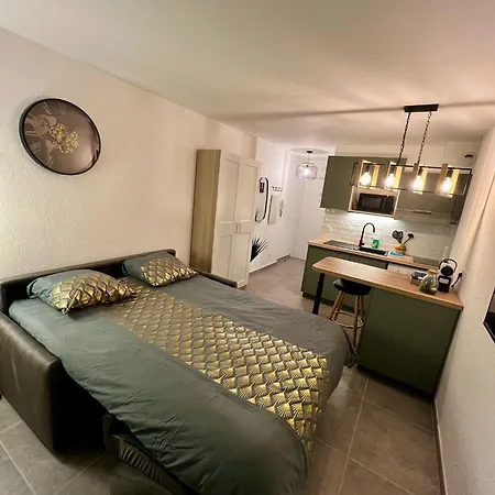 Climatise, Cosy Et Calme Au Centre Appartement Antibes